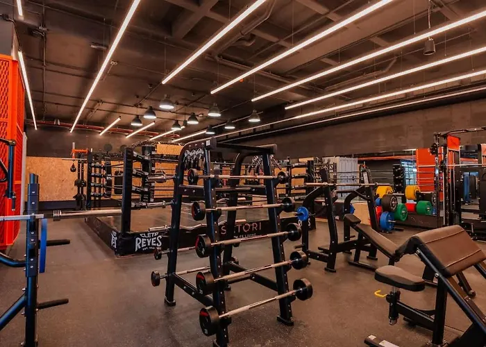 Designer Loft With Insane Amenities Gym Cine